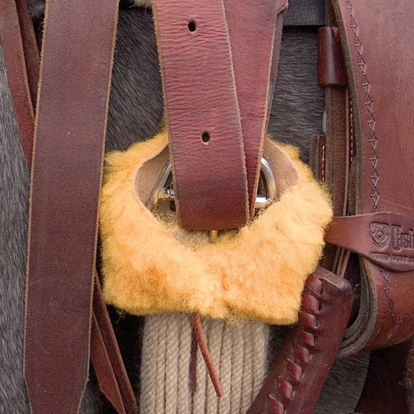 TE008629.jpg