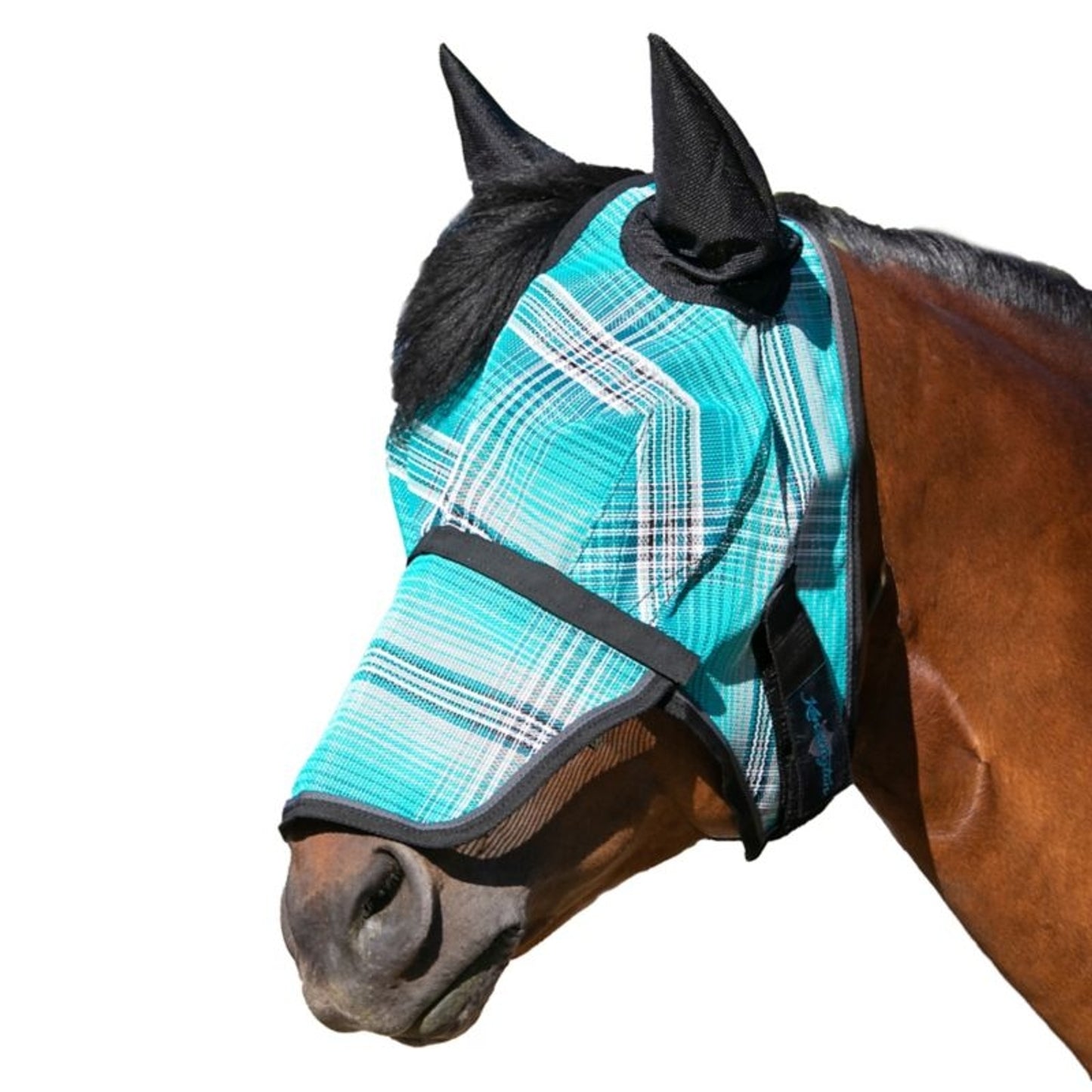 TE036570_891434.jpg
