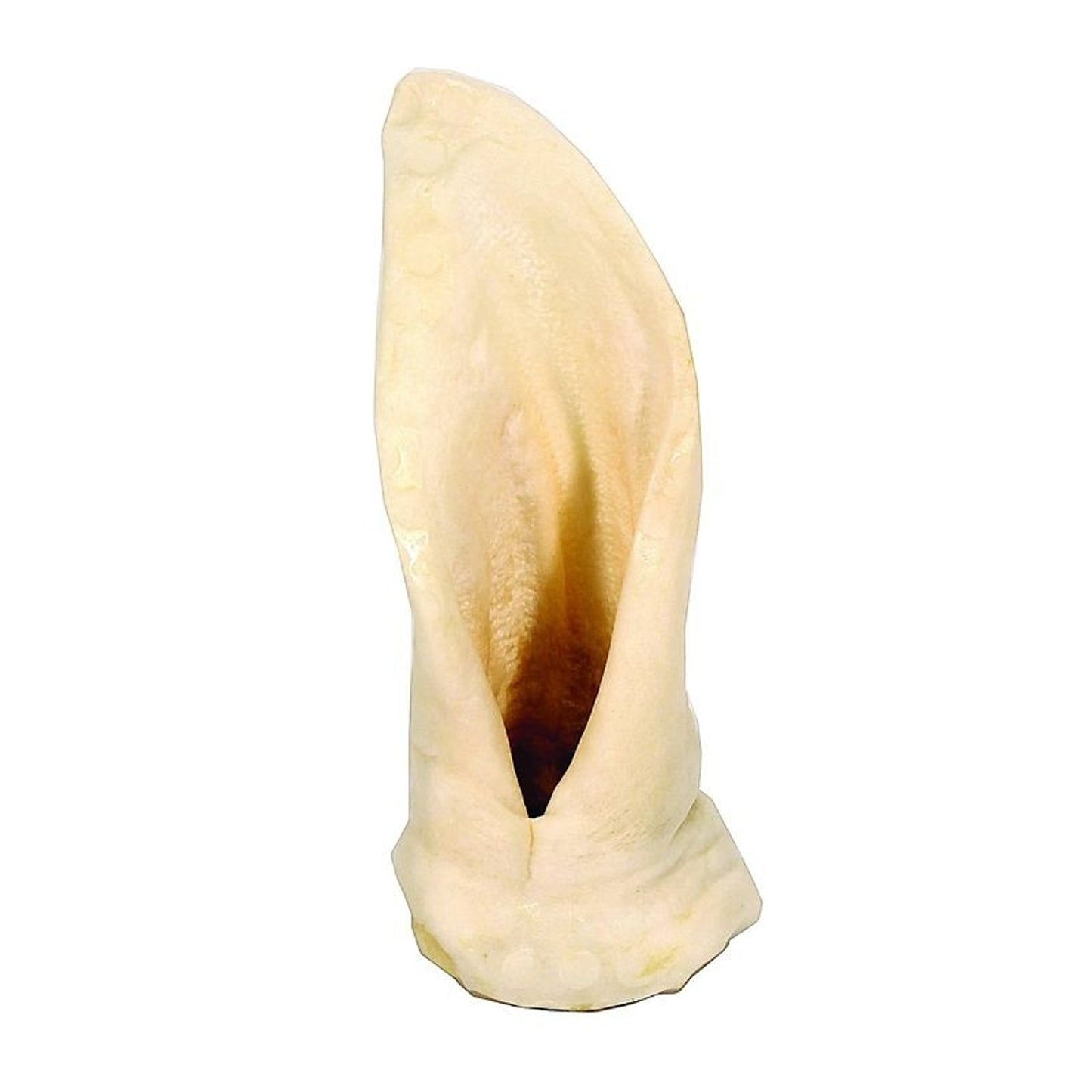 TE042825_P.jpg