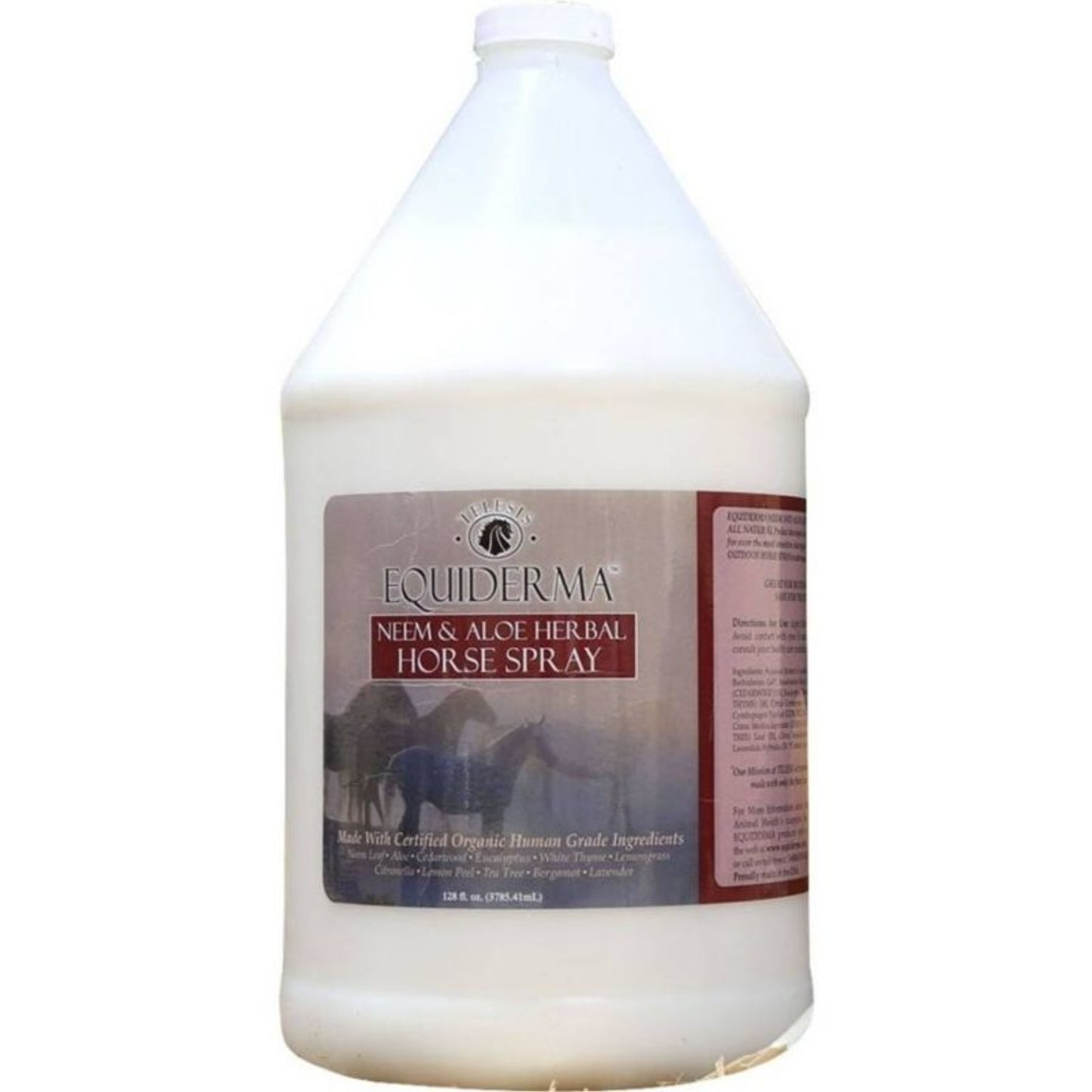 TH1578926_P.jpg