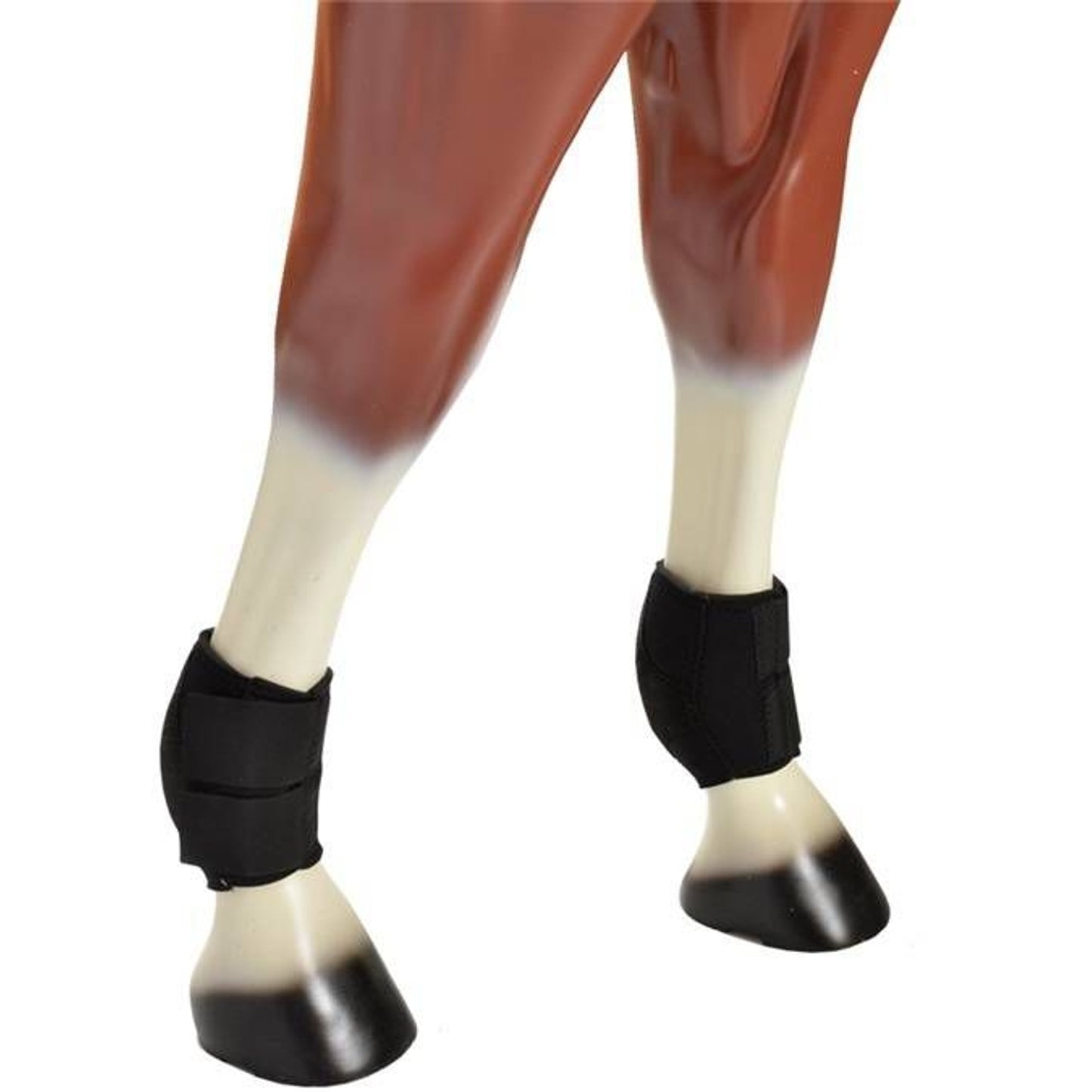 TH1656769_480207.jpg