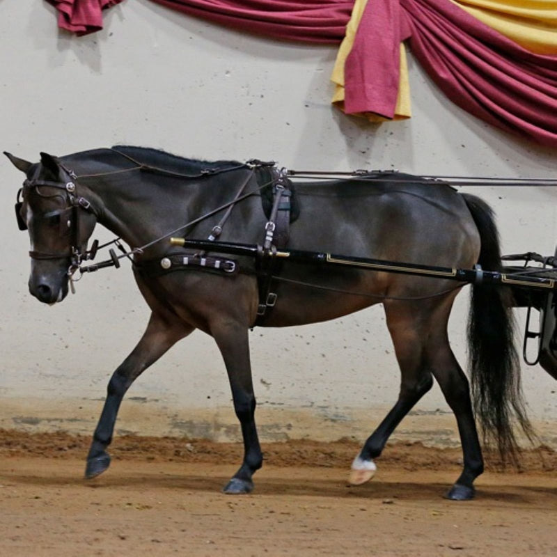 Ozark Western Show Harness