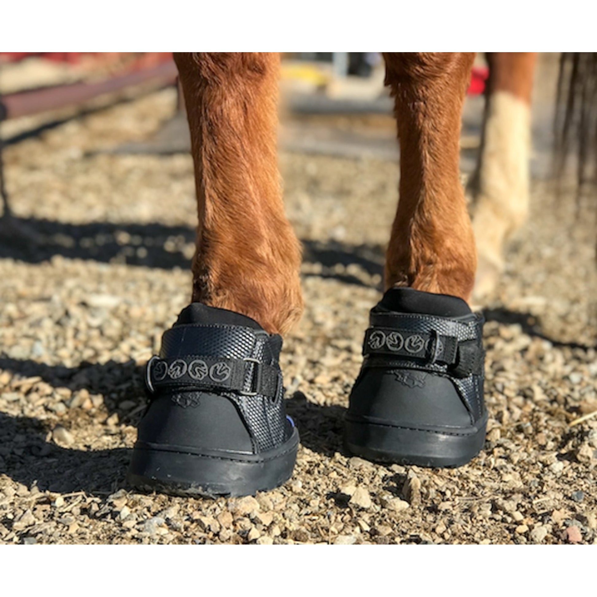 EasyCare Easyboot Sneaker Narrow
