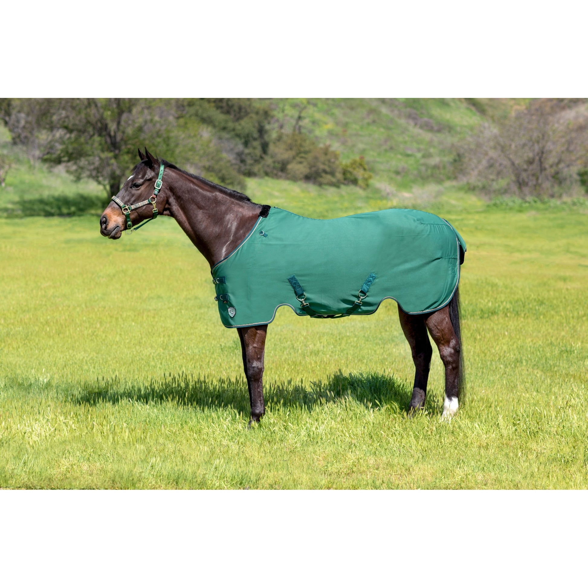 Kensington Poly Cotton Stable Sheet Pony