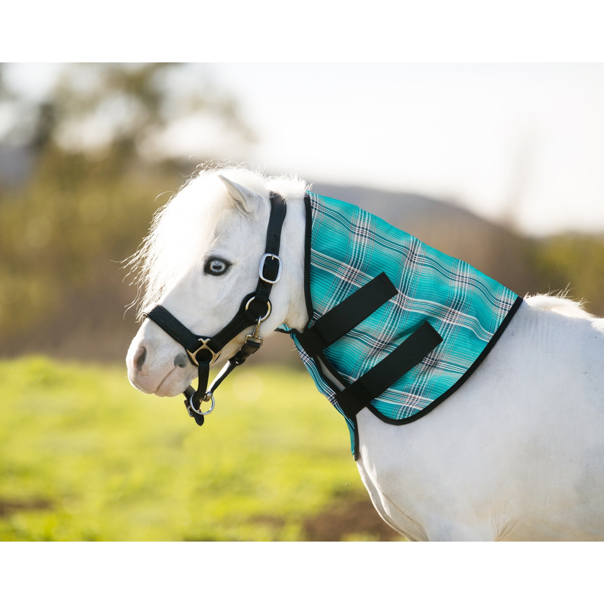Kensington Mini Protective Neck Cover
