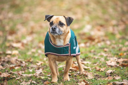Shires Digby Fox Waterproof Dog Coat