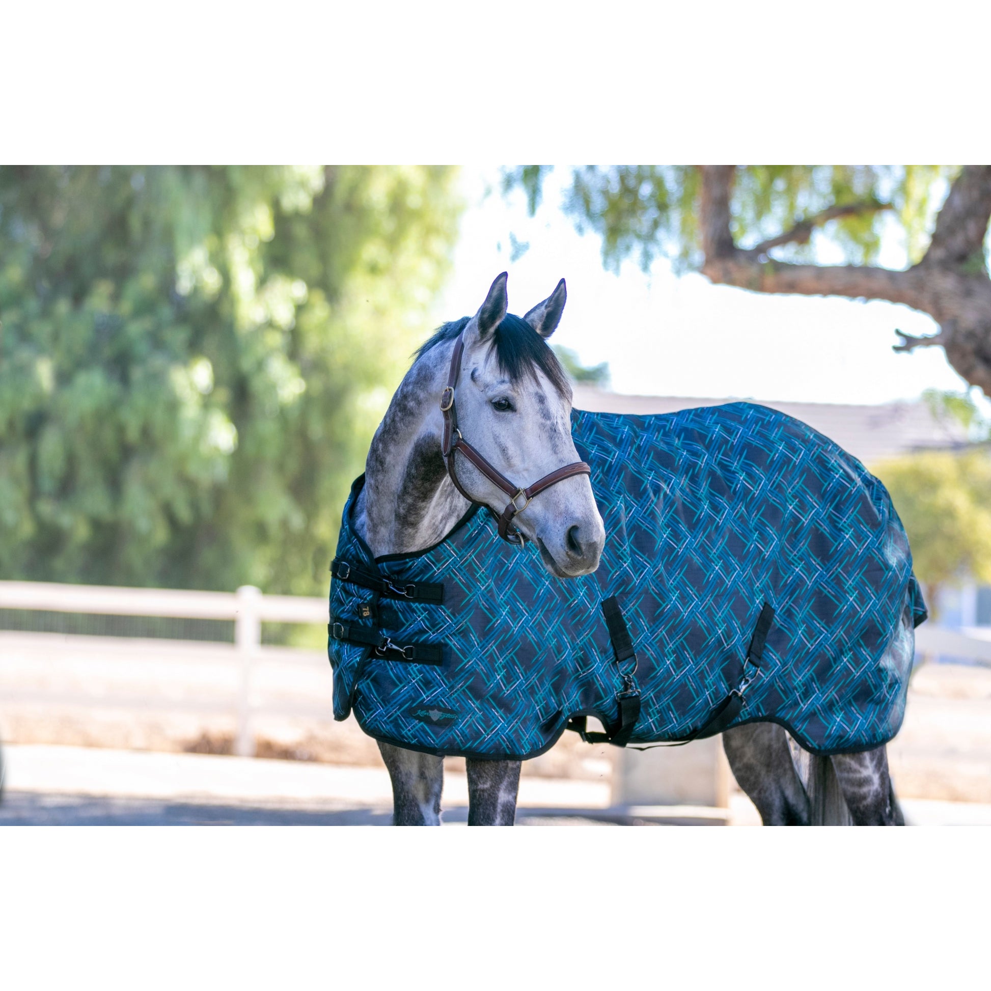 Kensington Pony 1200D Turnout 300g