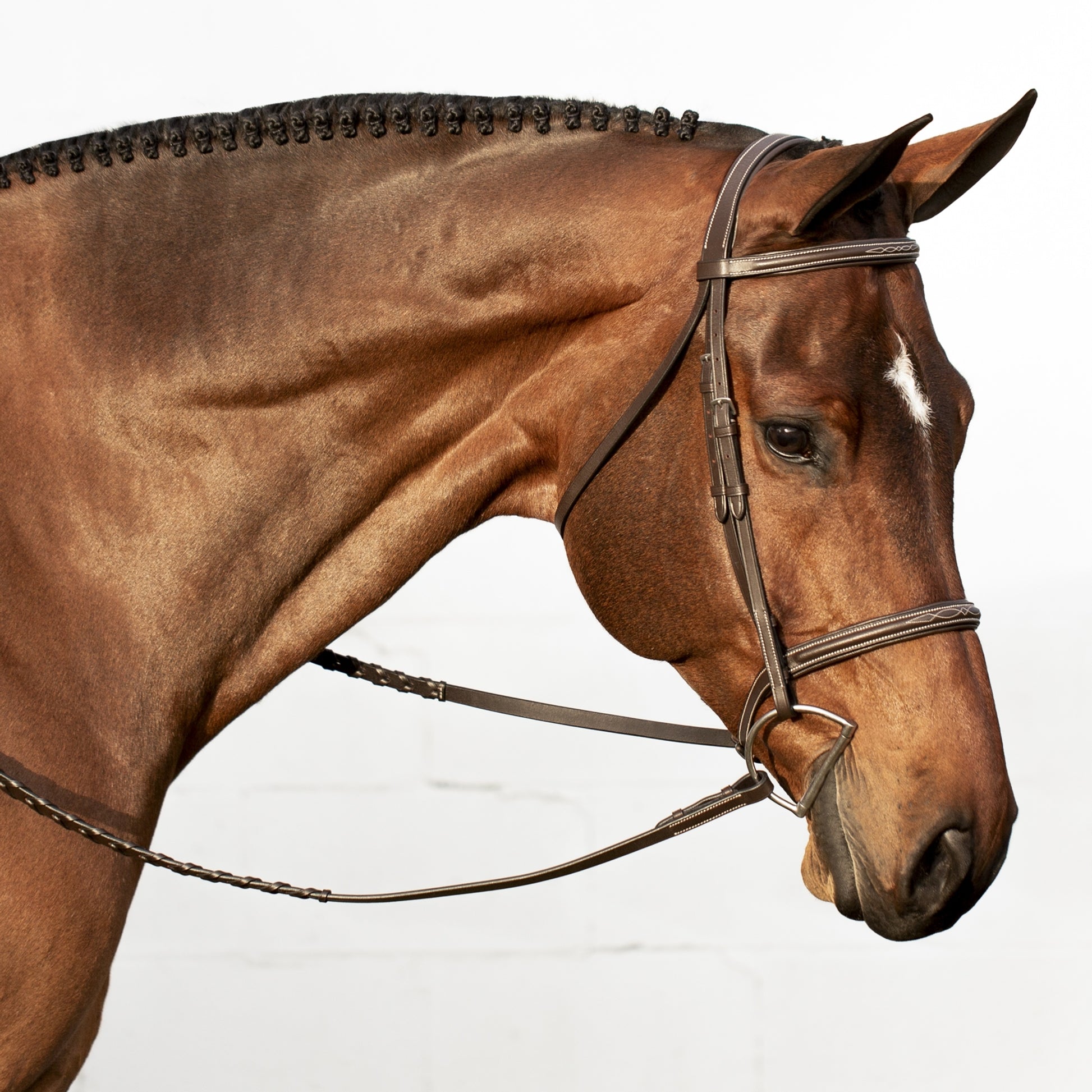 Equinavia Saga Fancy Stitched Hunter Bridle & Rein