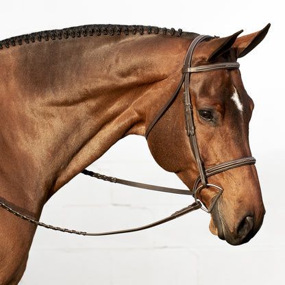 Equinavia Saga Fancy Stitched Hunter Bridle & Rein