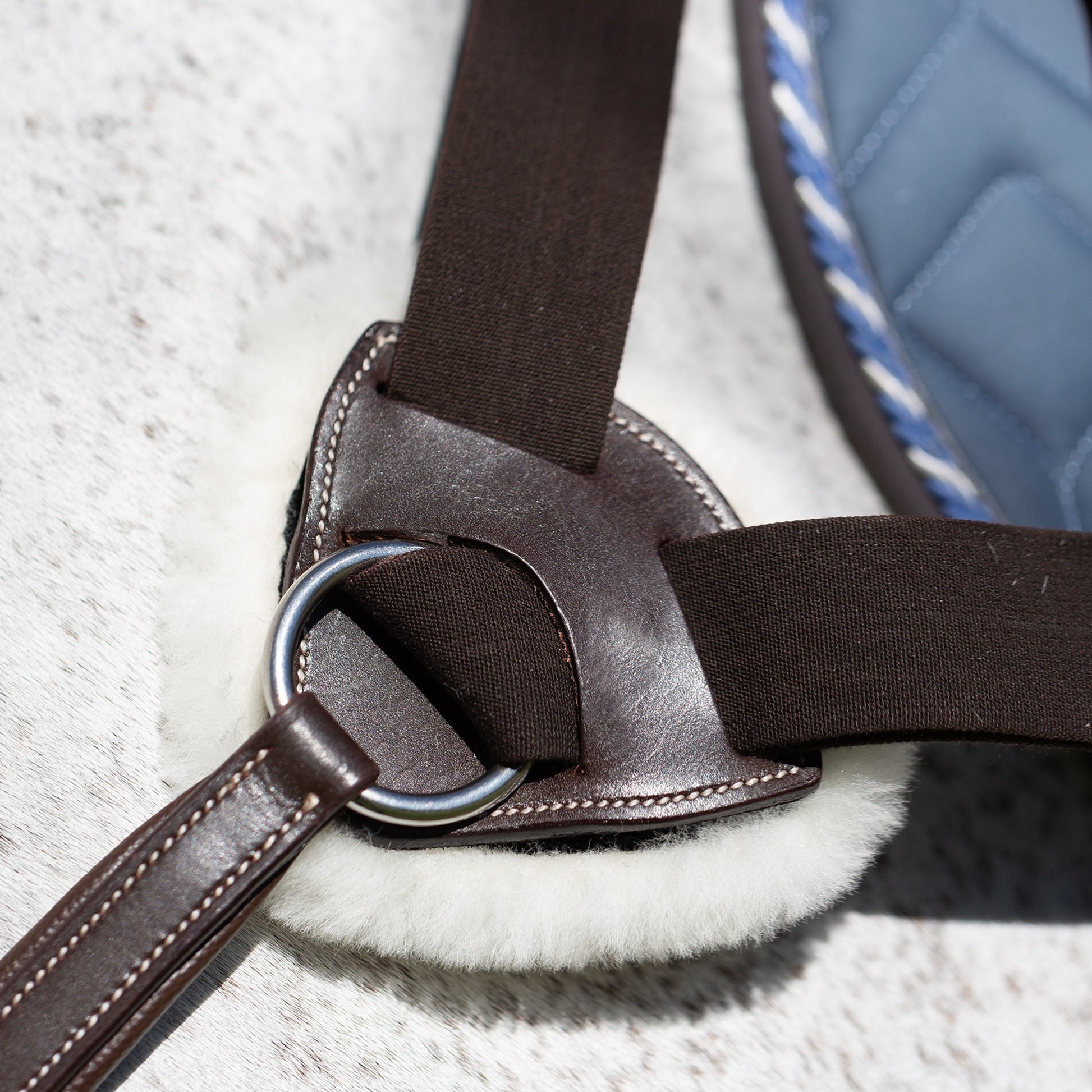 Equinavia Saga 5-point Breastplate