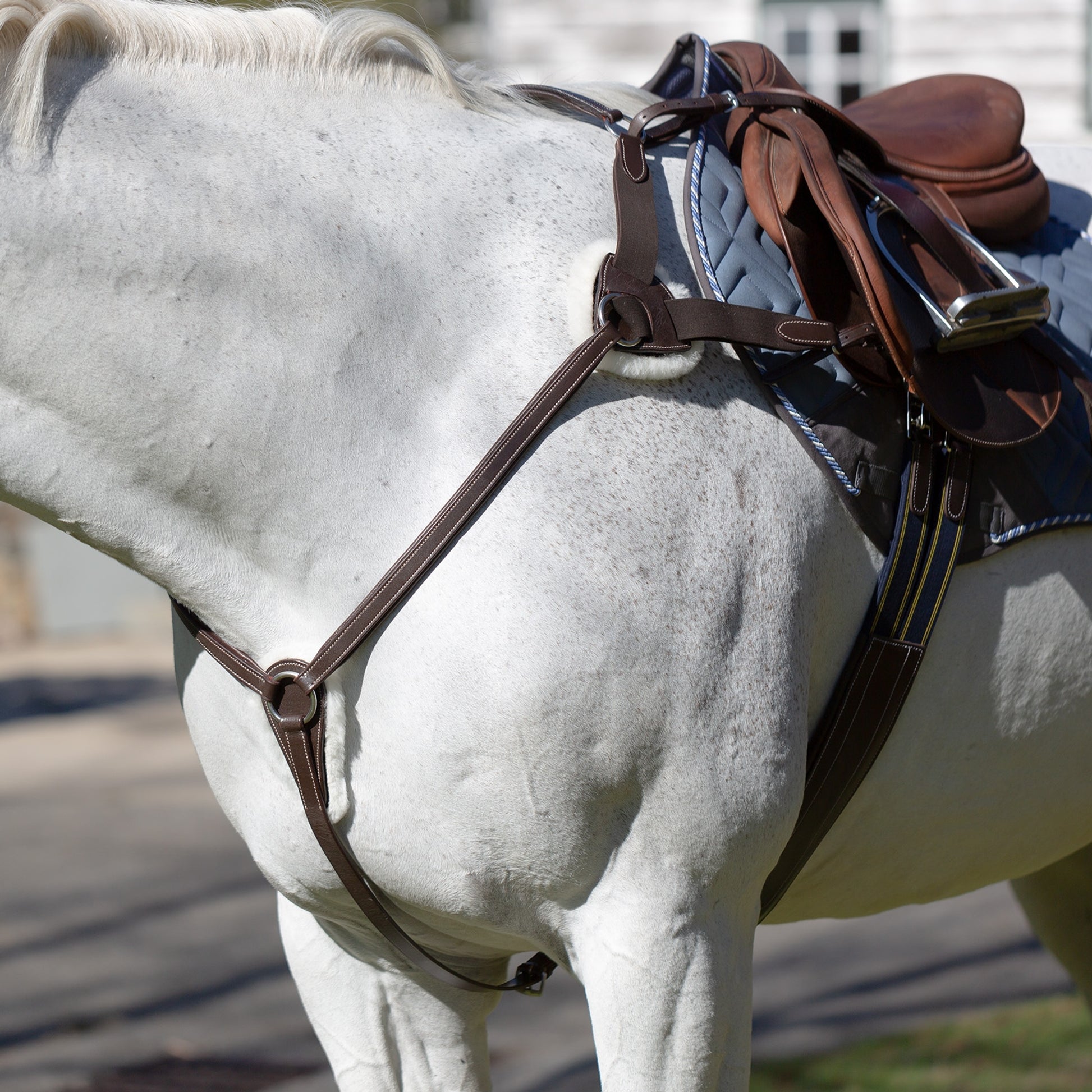 Equinavia Saga 5-point Breastplate