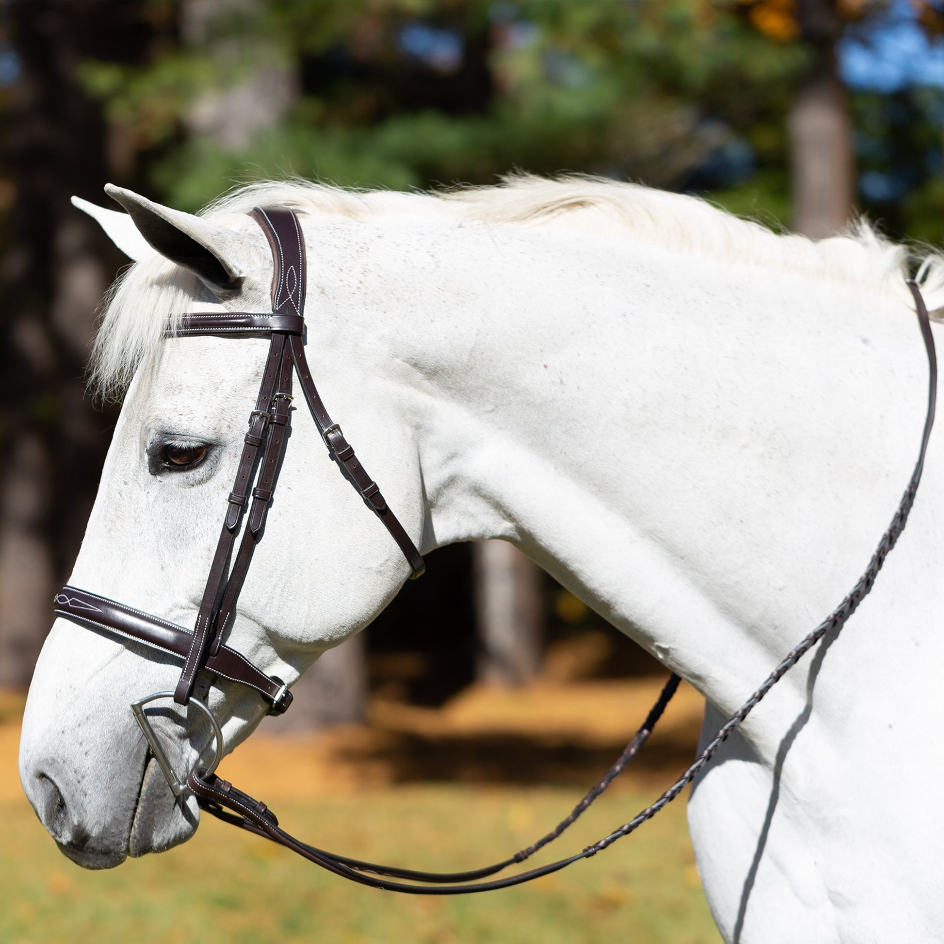 Equinavia Valkyrie Wide Noseband Hunter Bridle with Reins