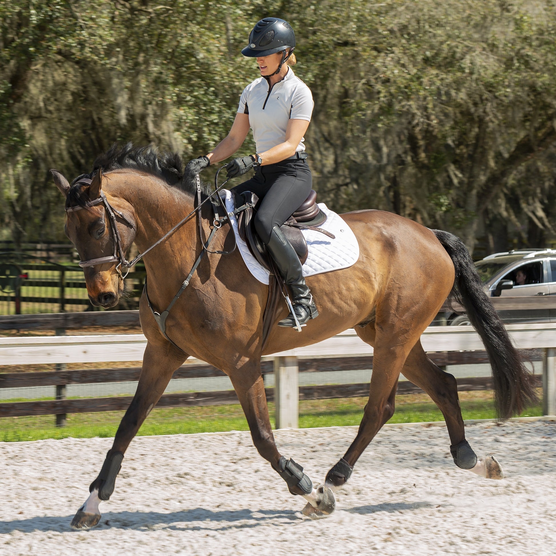 Equinavia Maud Ladies KP Breeches