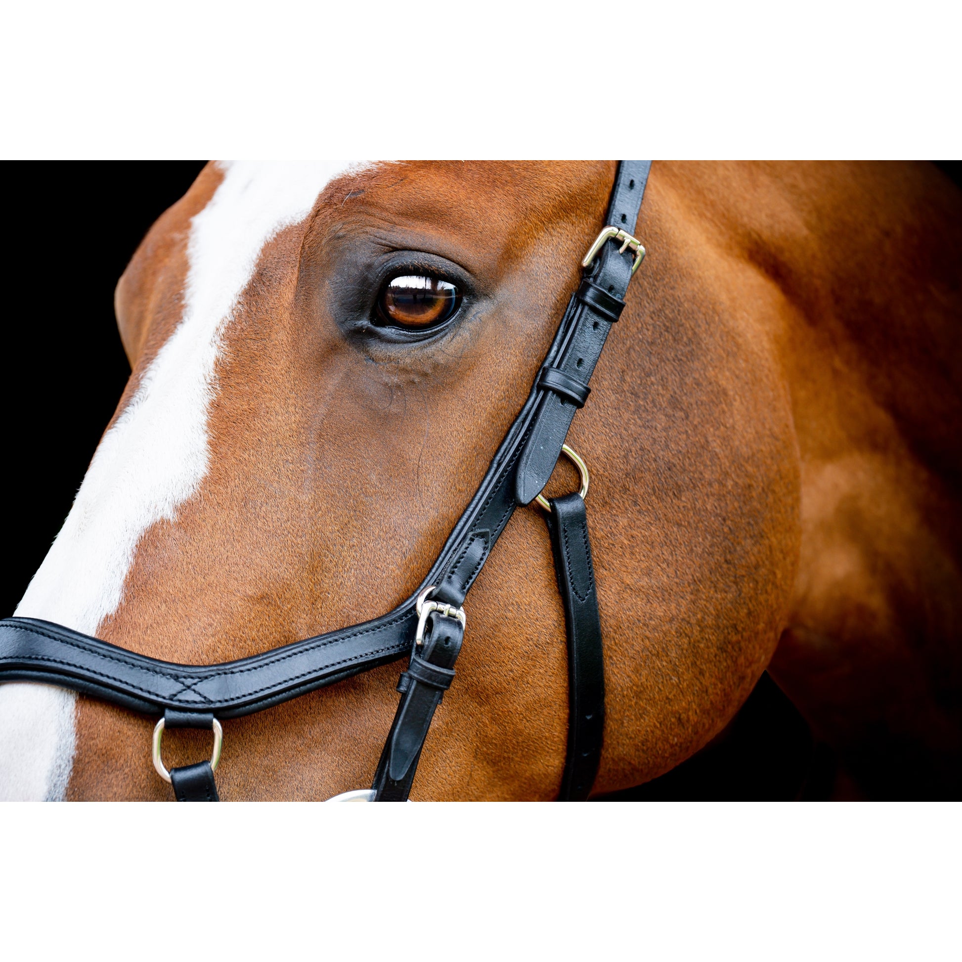 Horseware Micklem 2 Diamante Comp