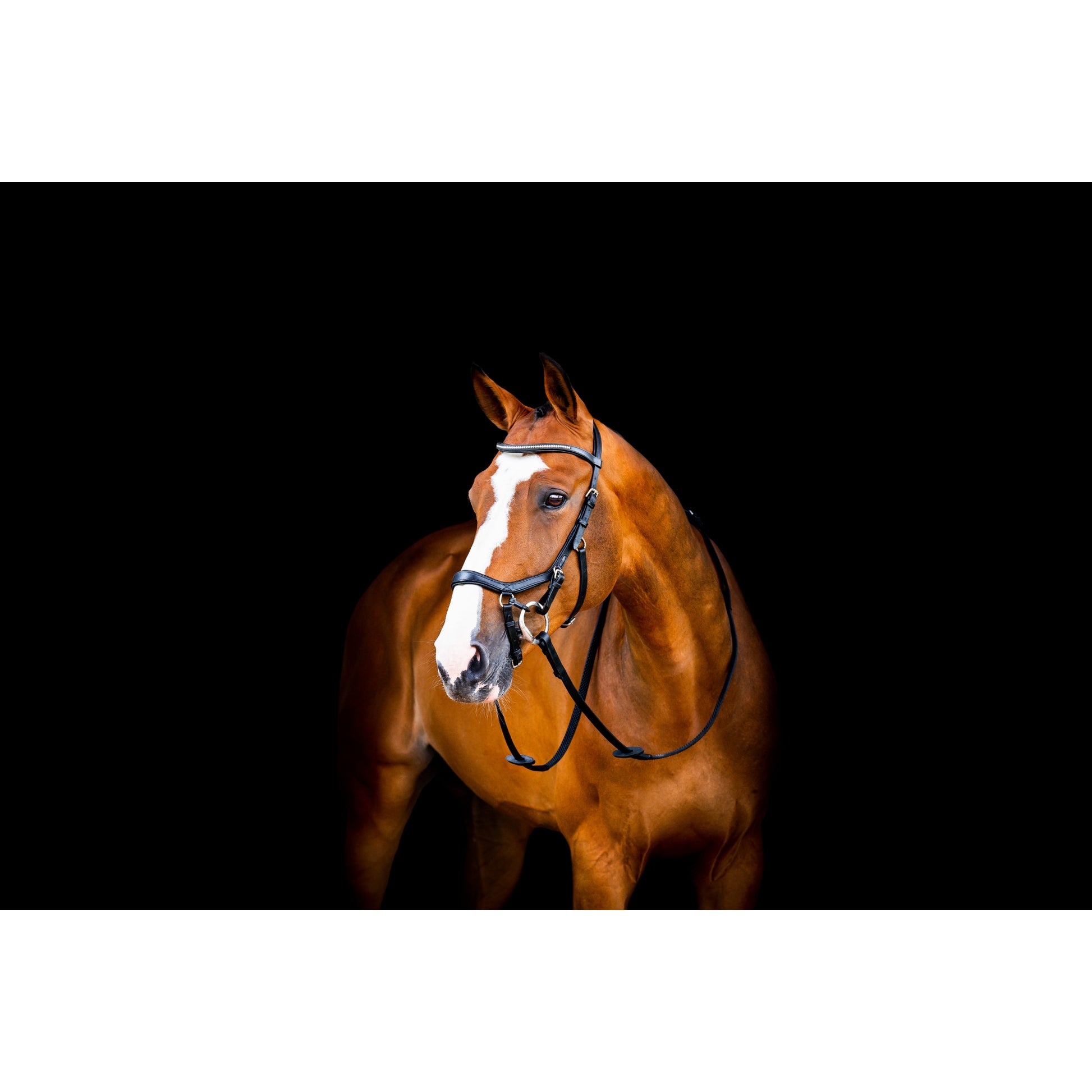 Horseware Micklem 2 Diamante Comp