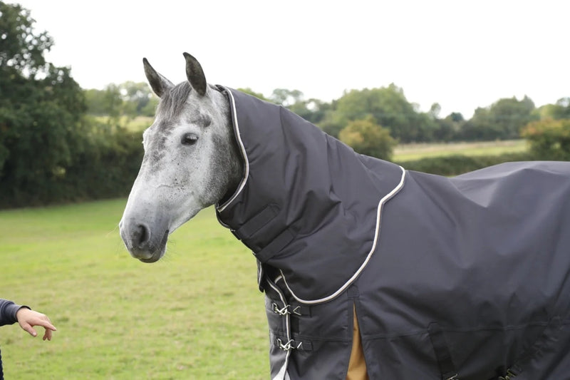 Highlander Plus 300g Hood
