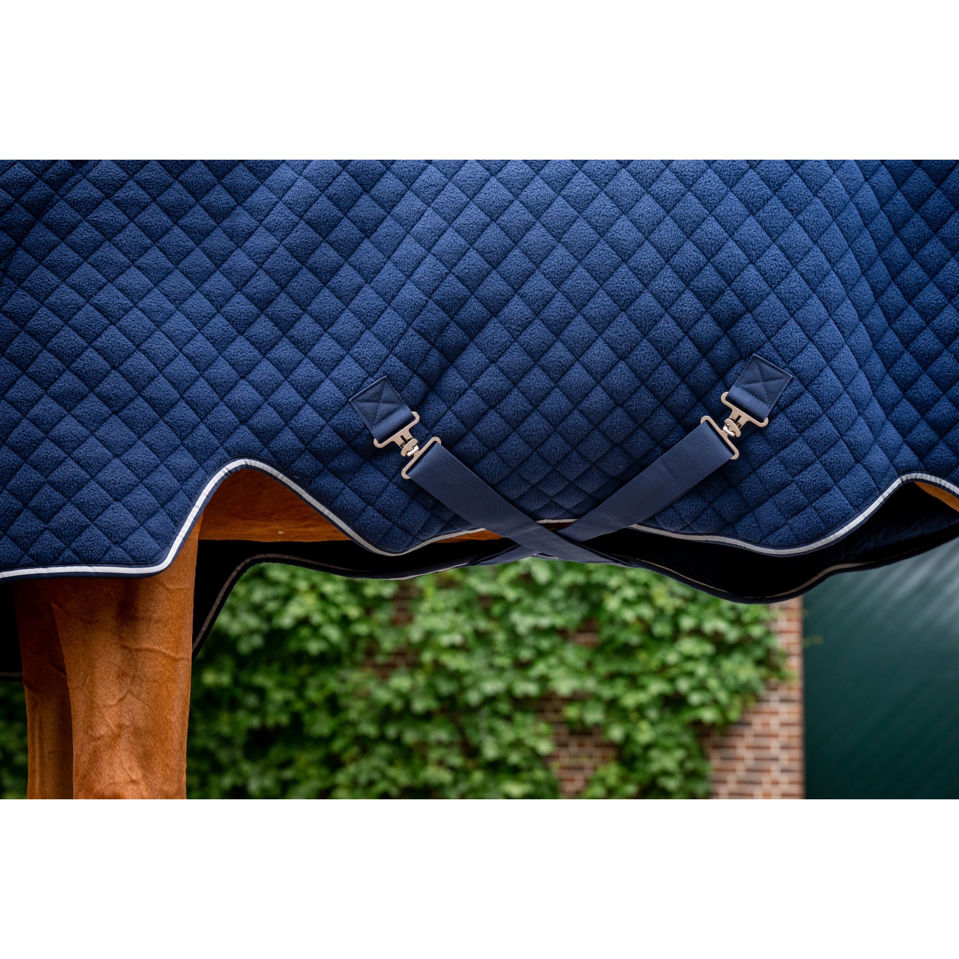 Horseware Thermal Cooler