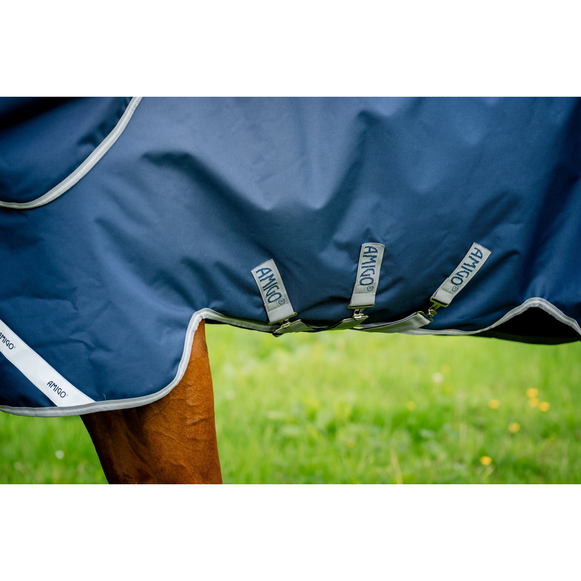 Amigo Bravo 12 Plus Turnout (400g Heavy)