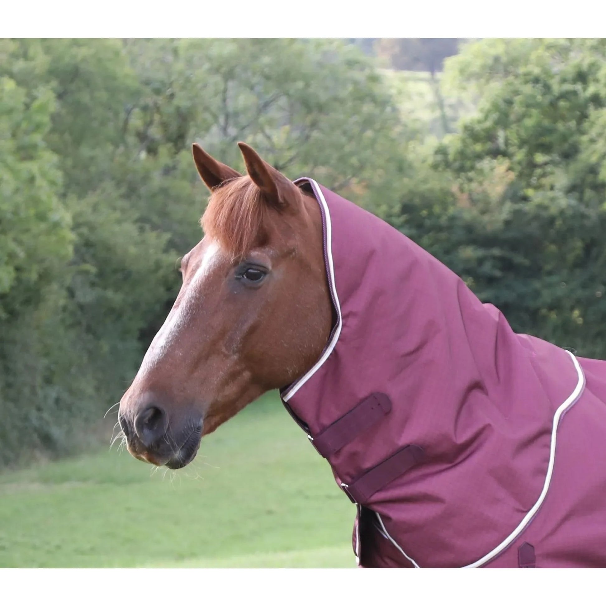 Shires Highlander Plus 100 Neck Cover