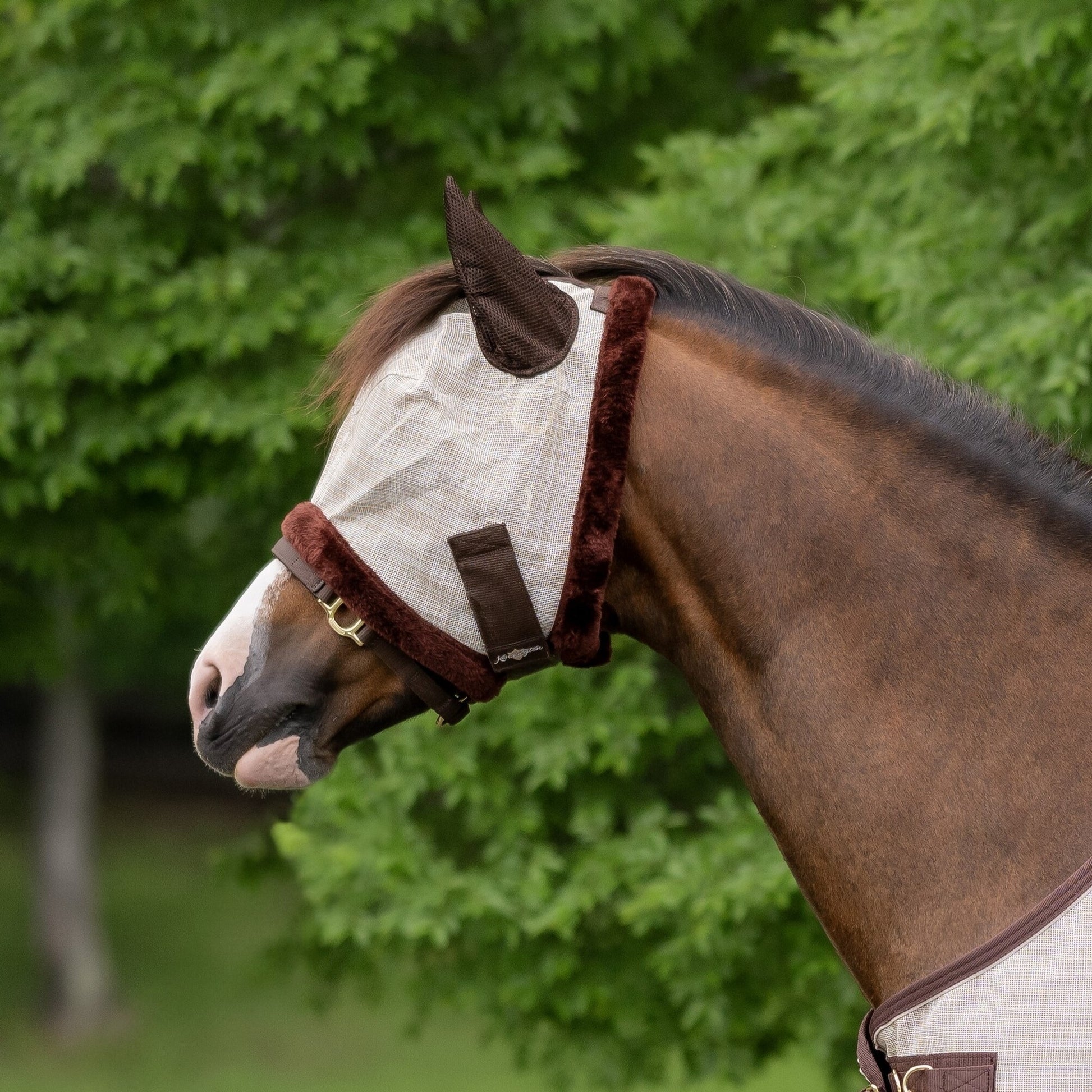 Kensington Miniature Signature Fly Mask with Plush Fl