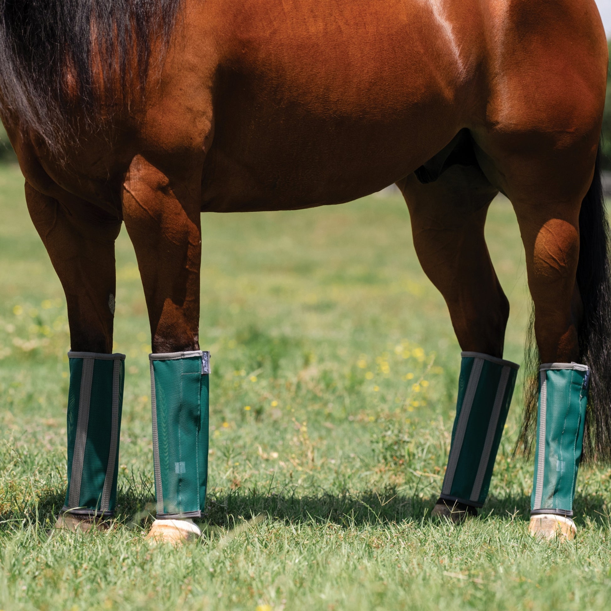 Professionals Choice Deluxe Fly Boots - 4 Pack