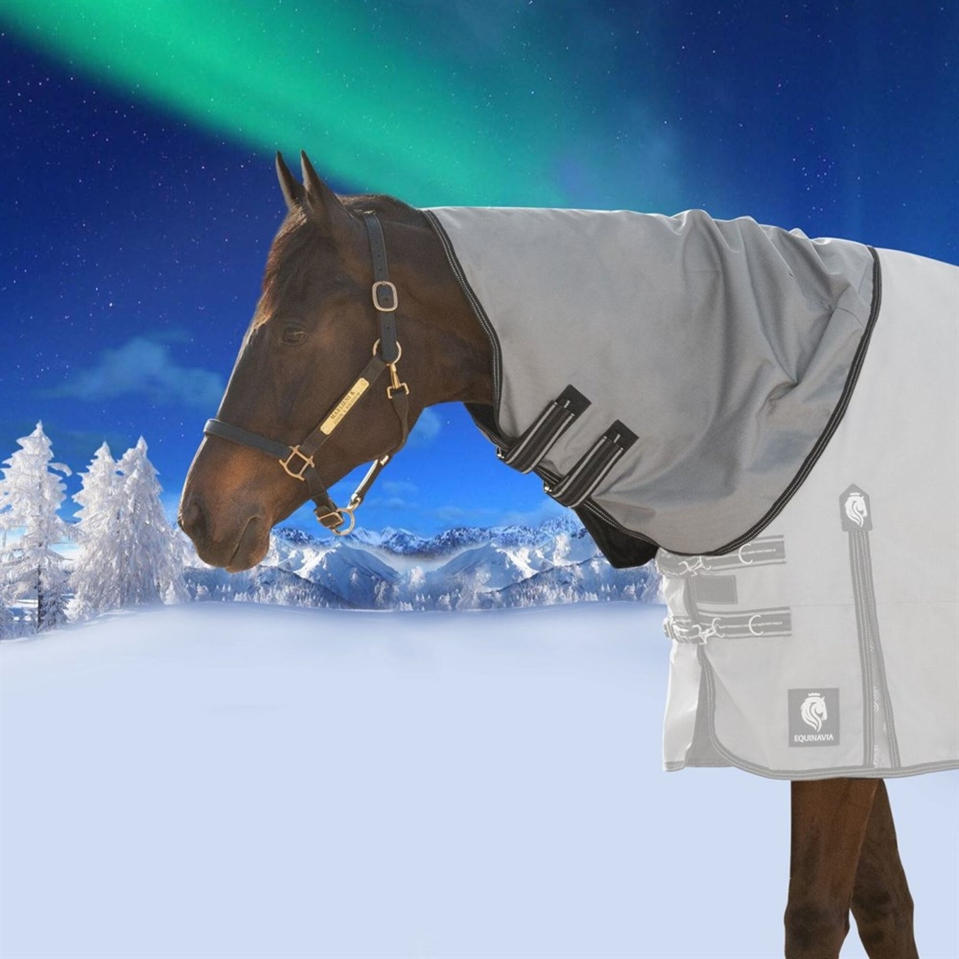 Equinavia Arktis Neck Cover No Fill