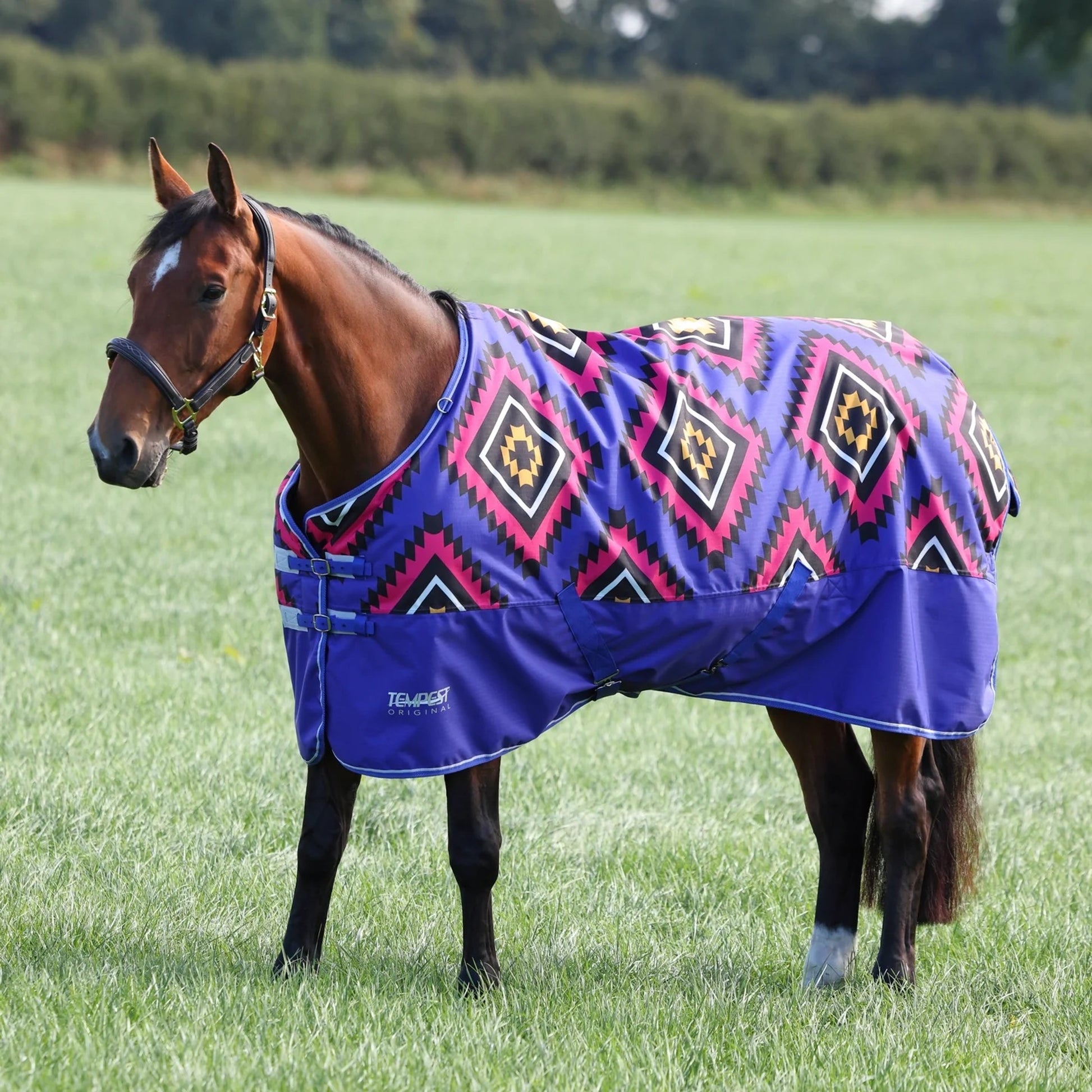 Shires Tempest Original 200g TO
