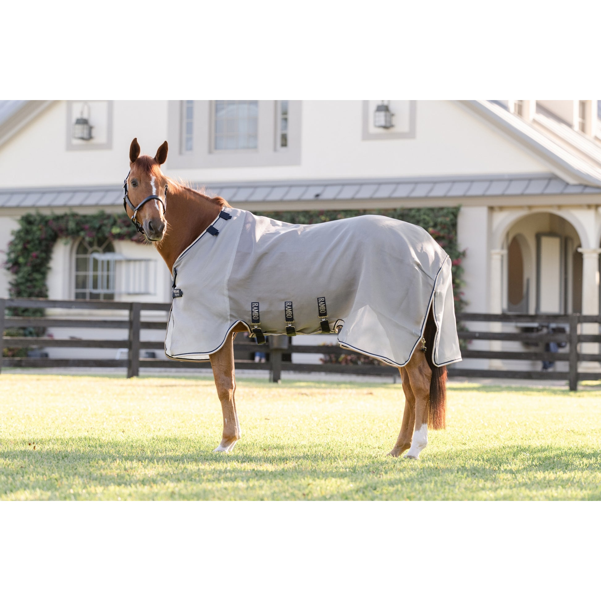 Rambo Protector Fieldsafe Fly Sheet