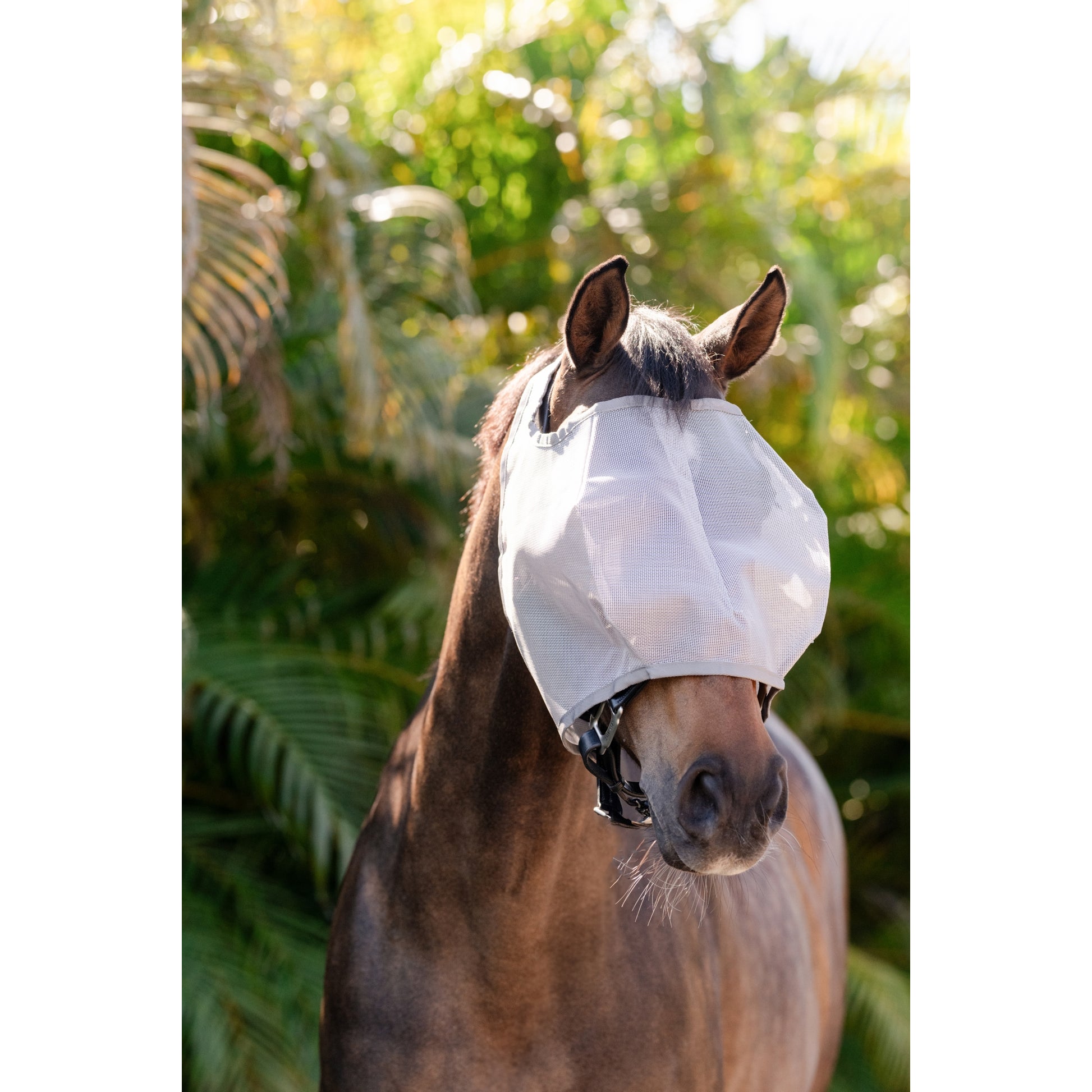 Amigo Flymask wo. Ears