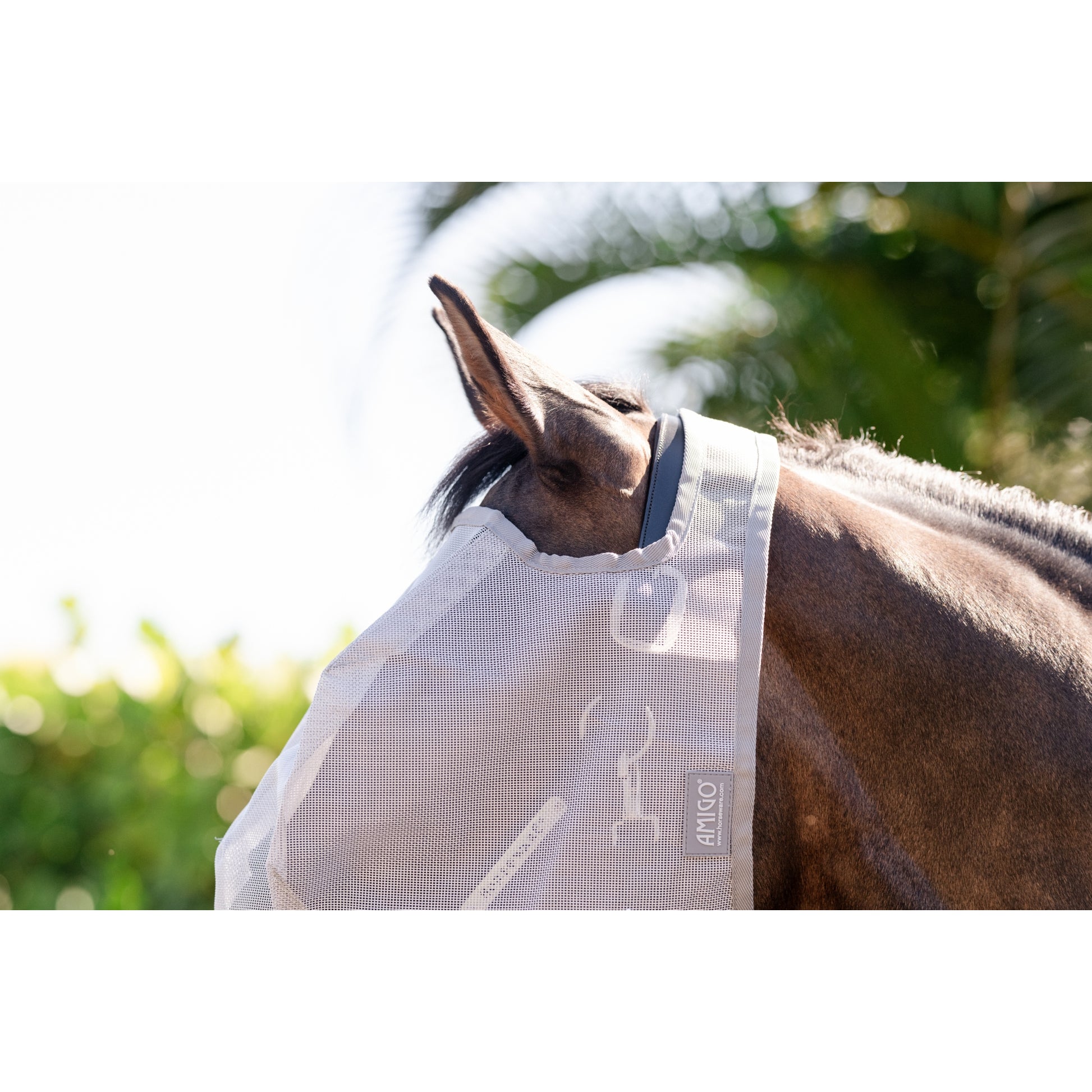 Amigo Flymask wo. Ears