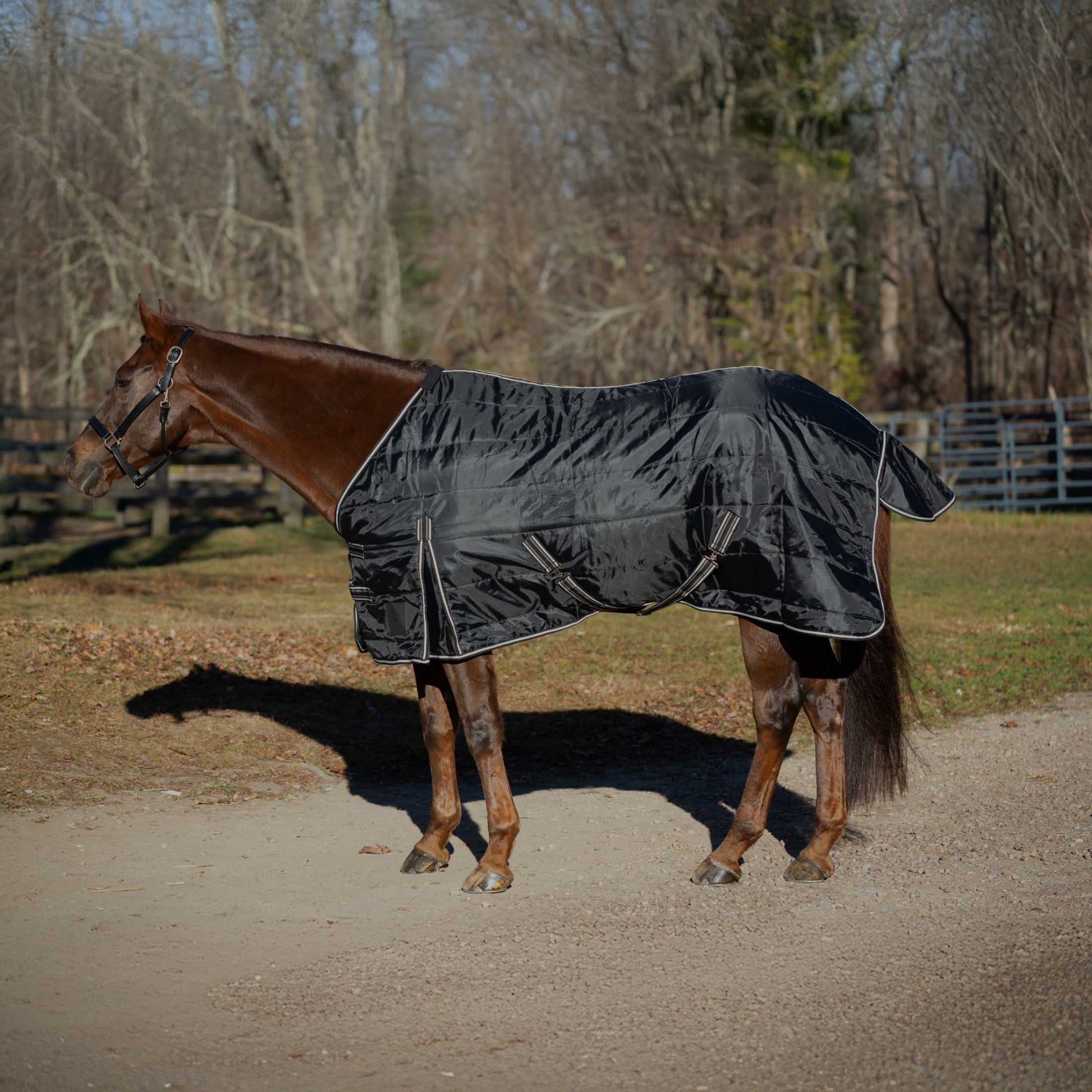 Equinavia Norse Gus Stable Blanket 200g
