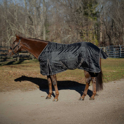 Equinavia Norse Gus Stable Blanket 200g