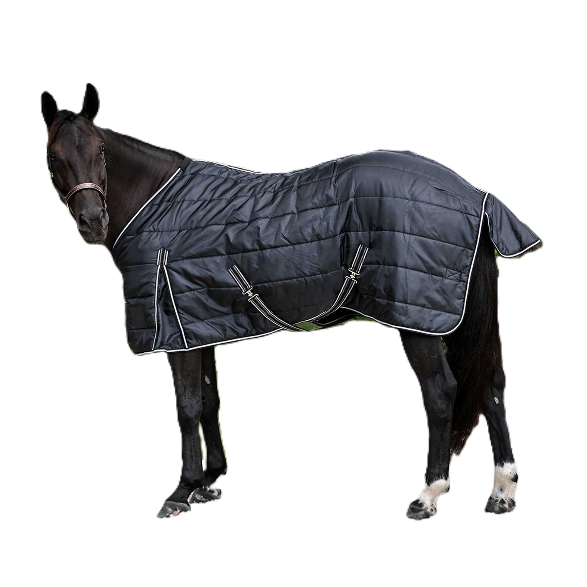 Equinavia Norse Gus Stable Blanket 200g