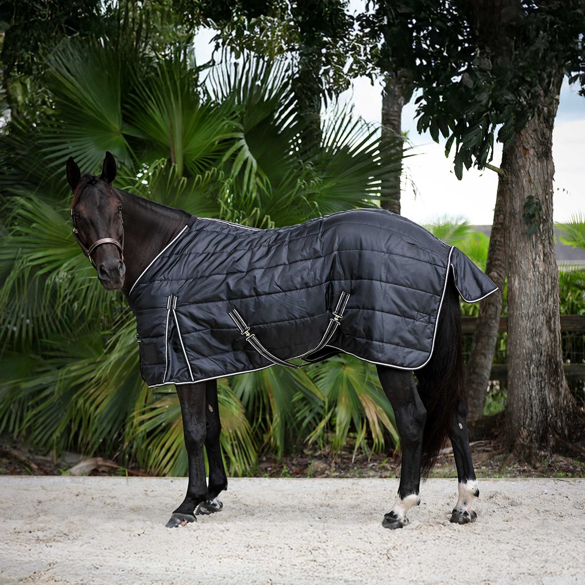 Equinavia Norse Gus Stable Blanket 100g