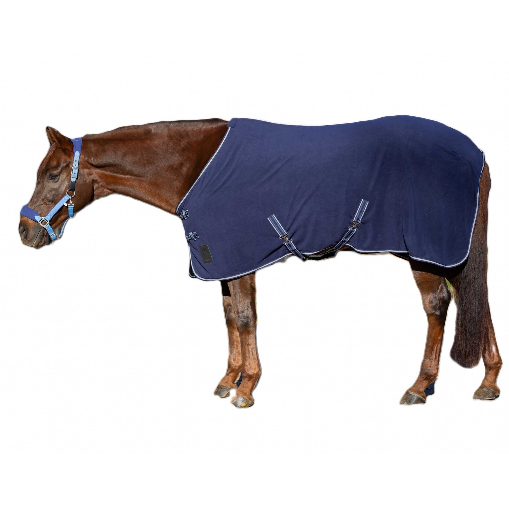 Equinavia Norse Fleece Cooler