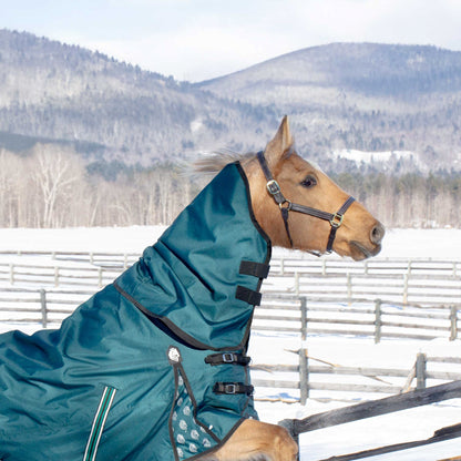 Equinavia Arktis Neck Cover No Fill
