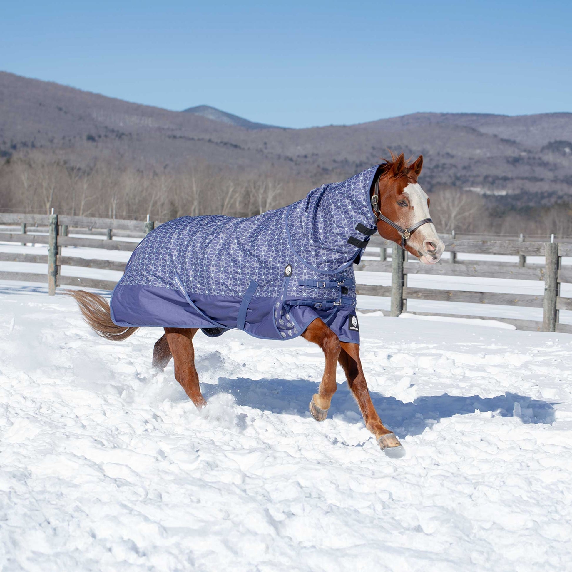 Equinavia Arktis Neck Cover No Fill