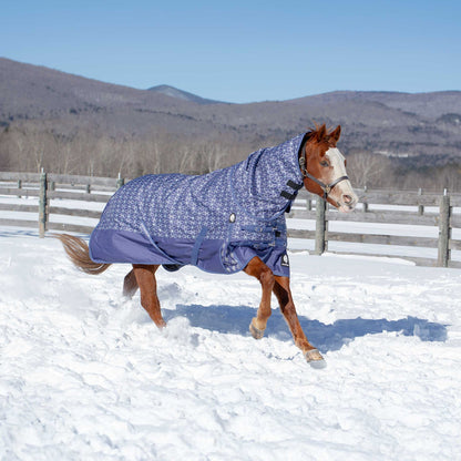 Equinavia Arktis Neck Cover No Fill