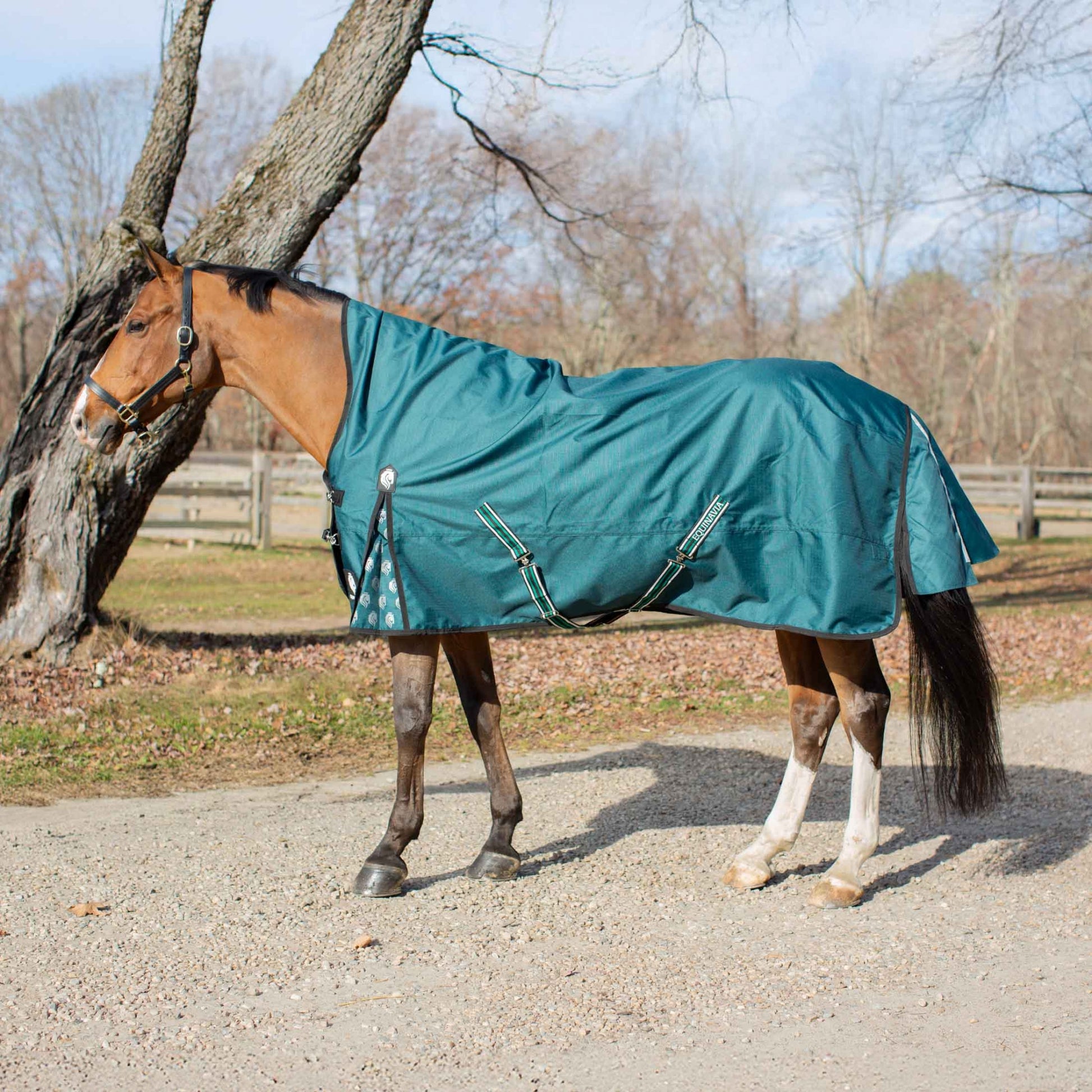 Equinavia Arktis Extended Neck Turnout Sheet