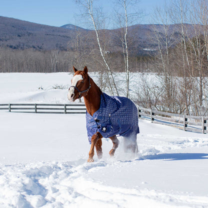 Equinavia Arktis Extended Neck Turnout Sheet