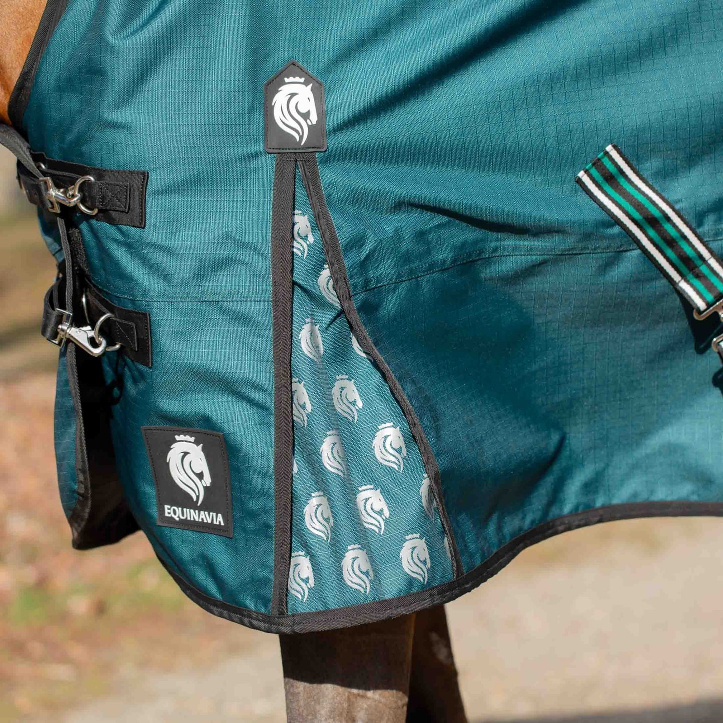 4-463375-06.jpg