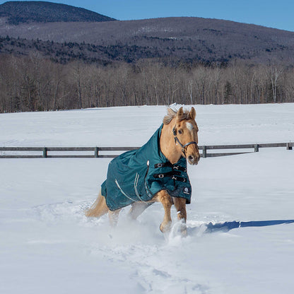 Equinavia Arktis Extended Neck Heavy Weight Turnout Blanket 300g
