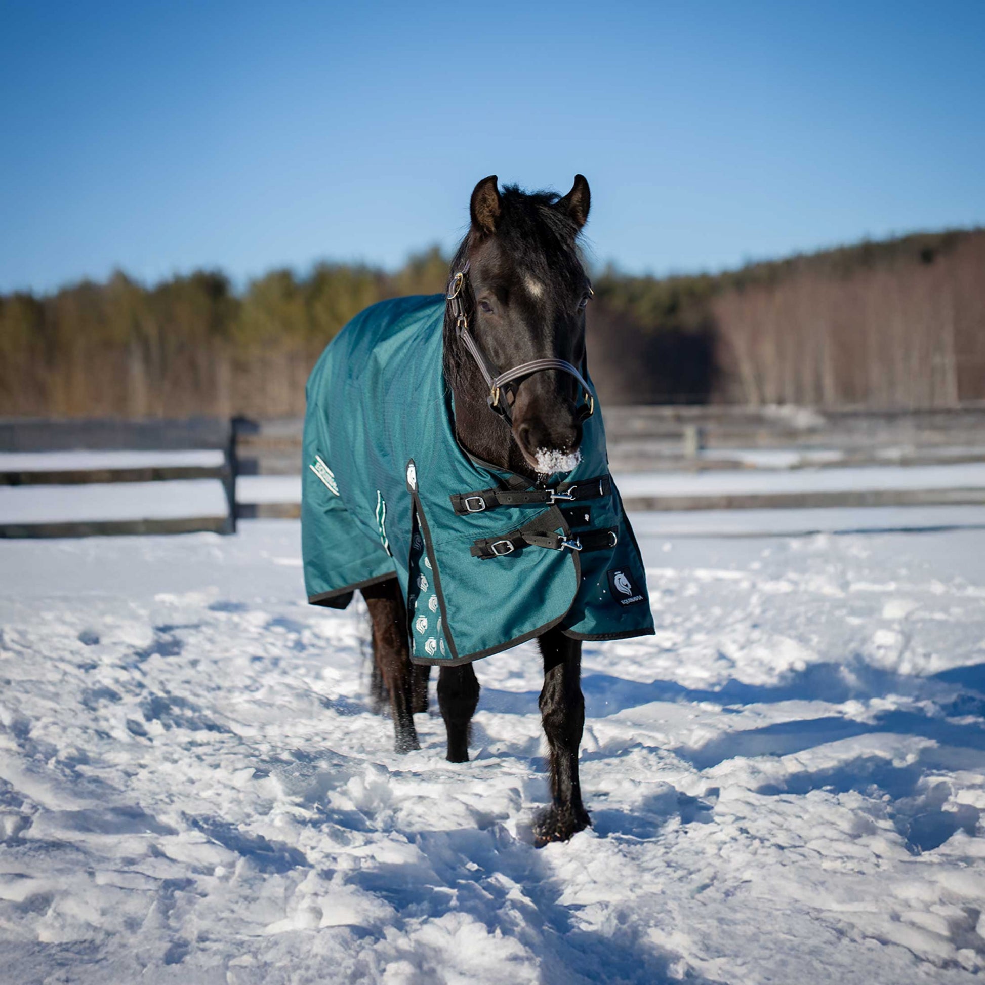 Equinavia Arktis Extended Neck Heavy Weight Turnout Blanket 300g