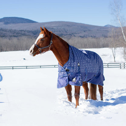 Equinavia Arktis Extended Neck Heavy Weight Turnout Blanket 300g