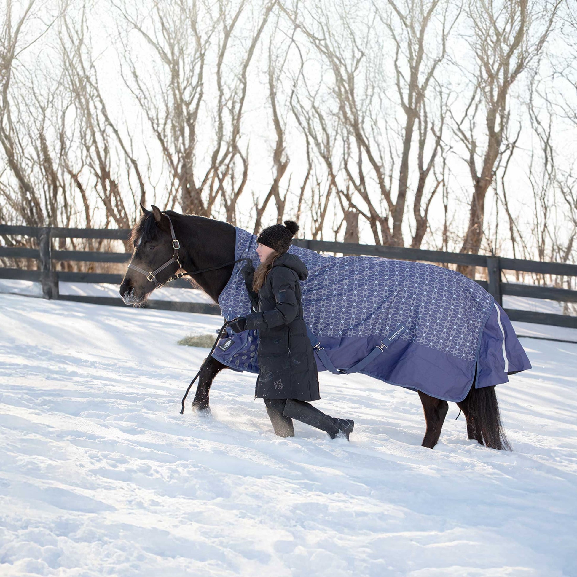 Equinavia Arktis Extended Neck Heavy Weight Turnout Blanket 300g