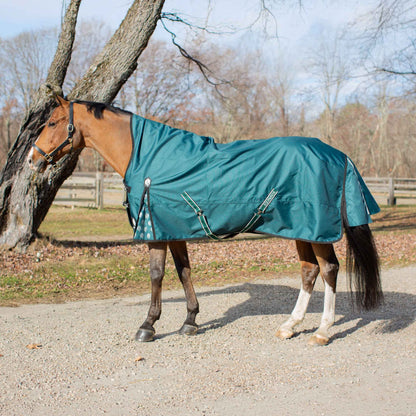 Equinavia Arktis Extended Neck Light Weight Turnout Blanket 100g
