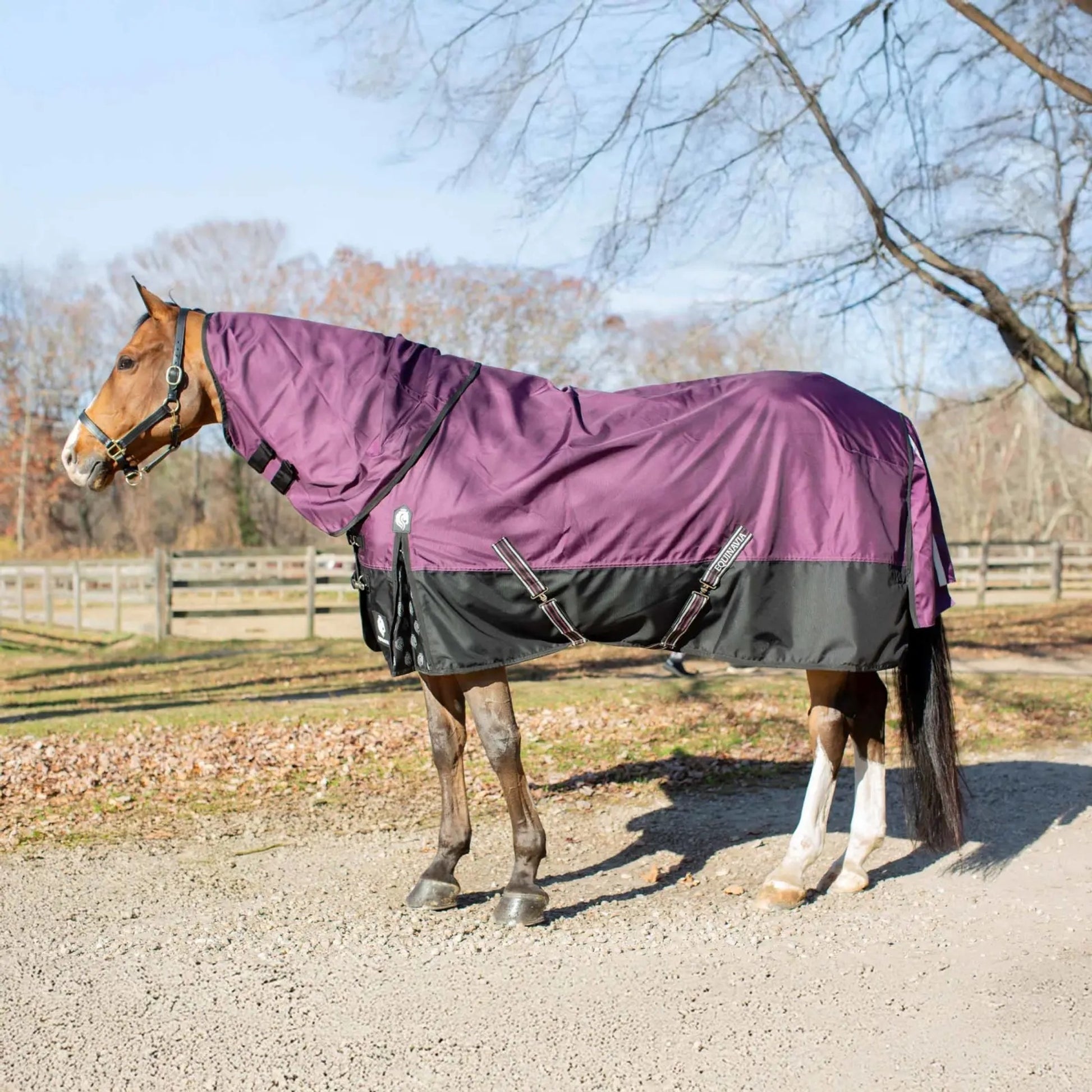 Equinavia Thunder 360 DAN TO 100g