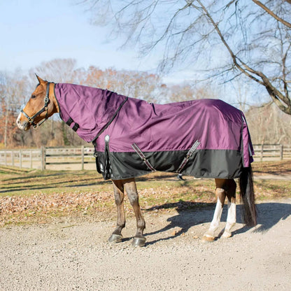 Equinavia Thunder 360 DAN TO 100g