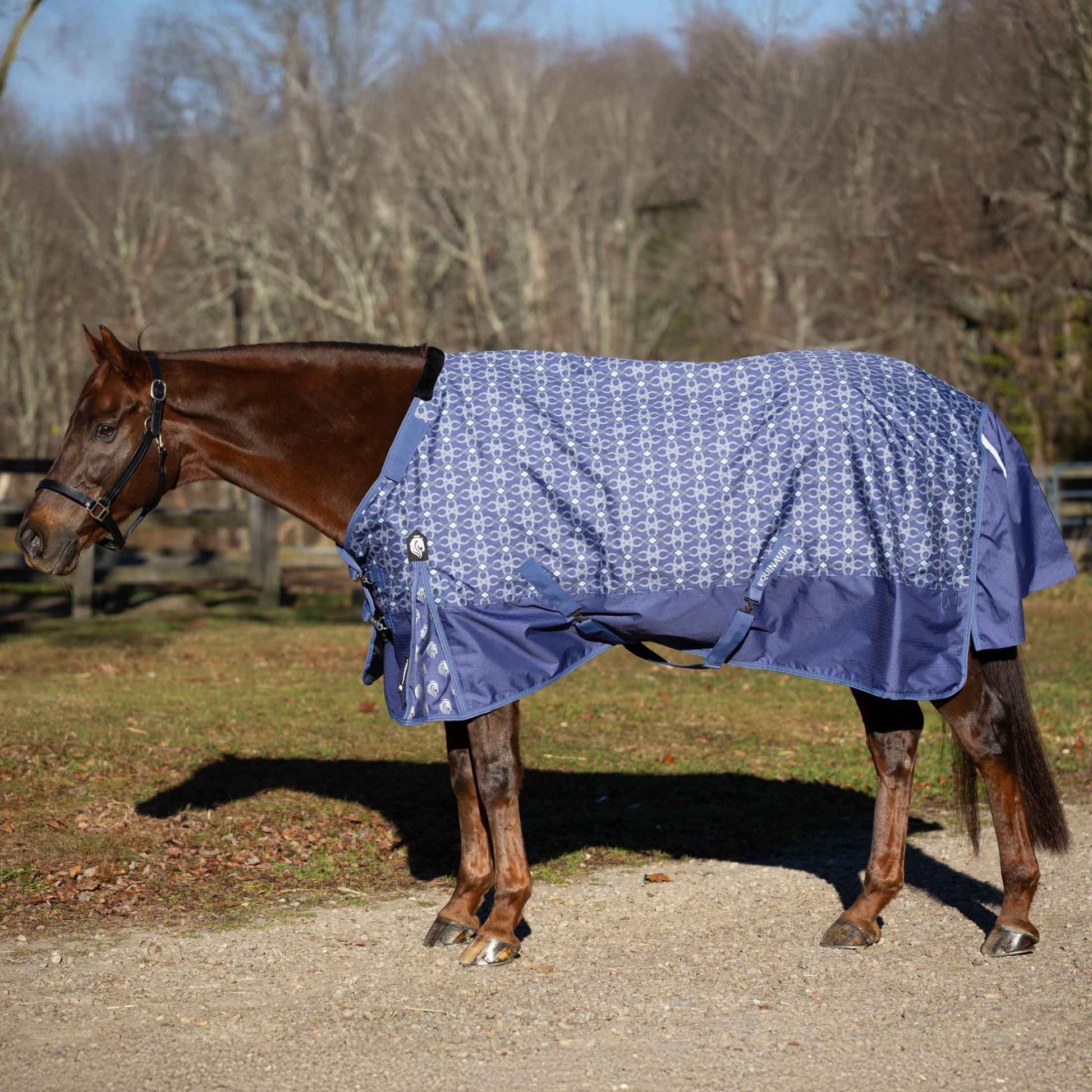 Equinavia Arktis Regular Neck Turnout Sheet