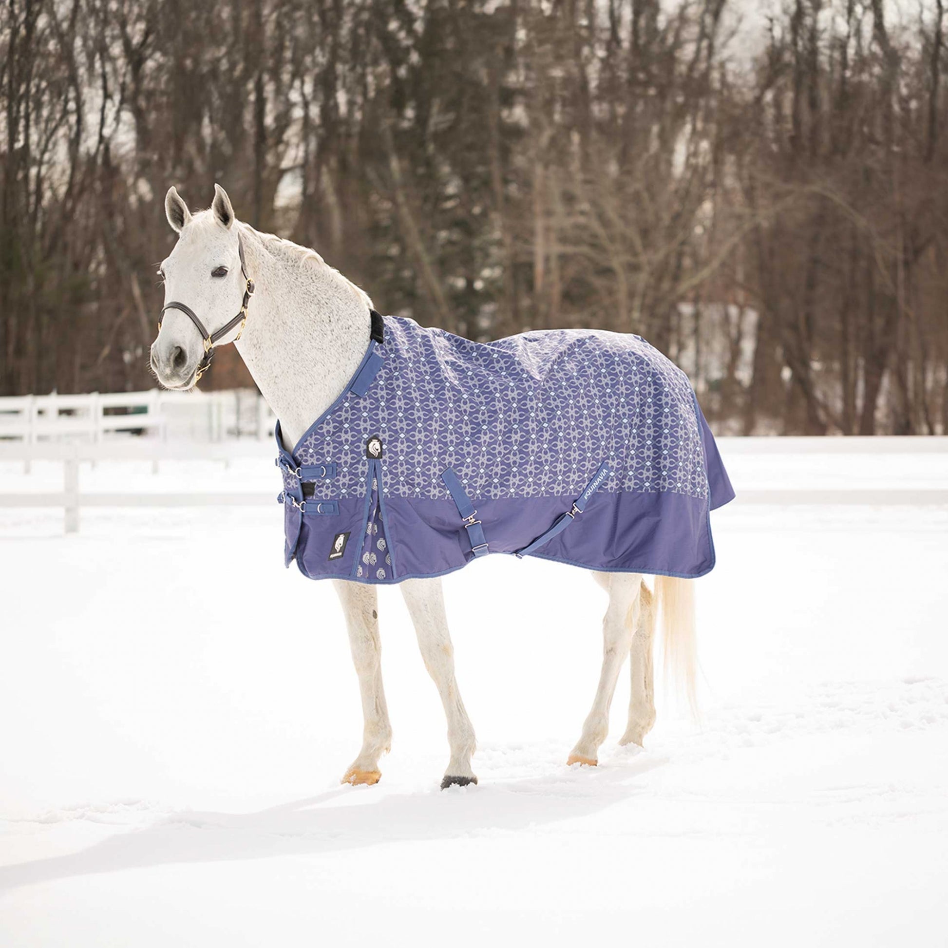 Equinavia Arktis Regular Neck Turnout Sheet